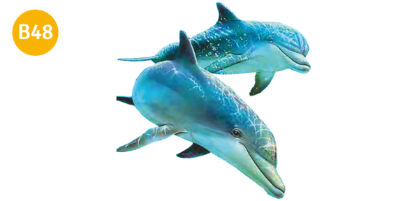 imagen sticker delfines 1,35 x 1m