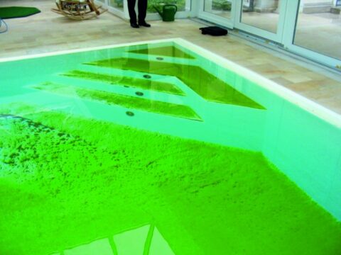 Agua verde en la piscina: ¿cómo solucionarlo y prevenirlo?